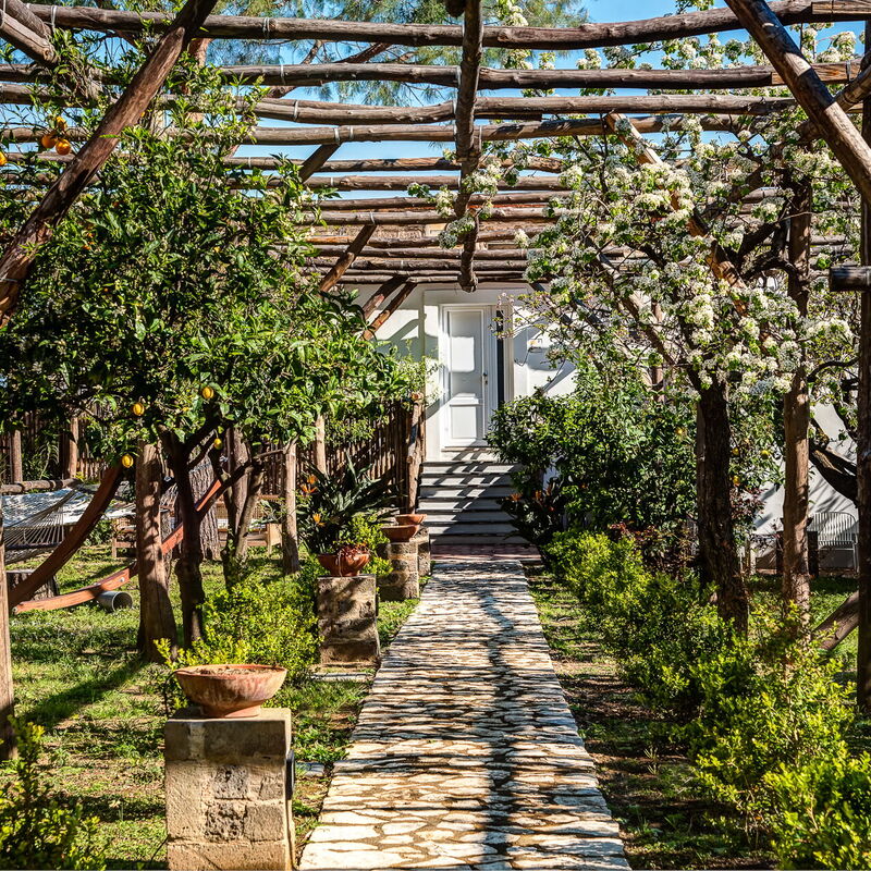 Sea Front with Panoramic View on the Napoli Gulf: Stunning Sunset on the Vesuvio