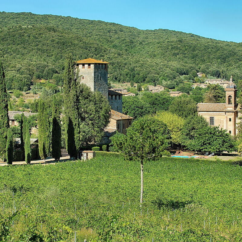 Medieval Castle Living: Vineyards, Swimming Pool & Rustic Tuscan Charm