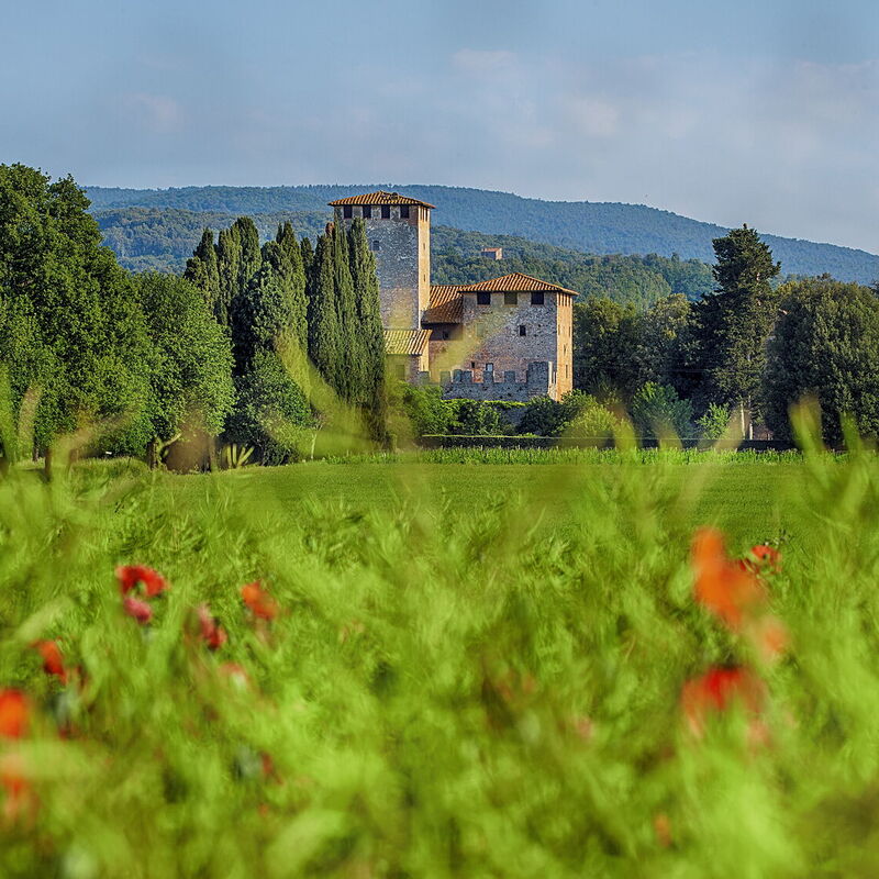 Medieval Castle Living: Vineyards, Swimming Pool & Rustic Tuscan Charm