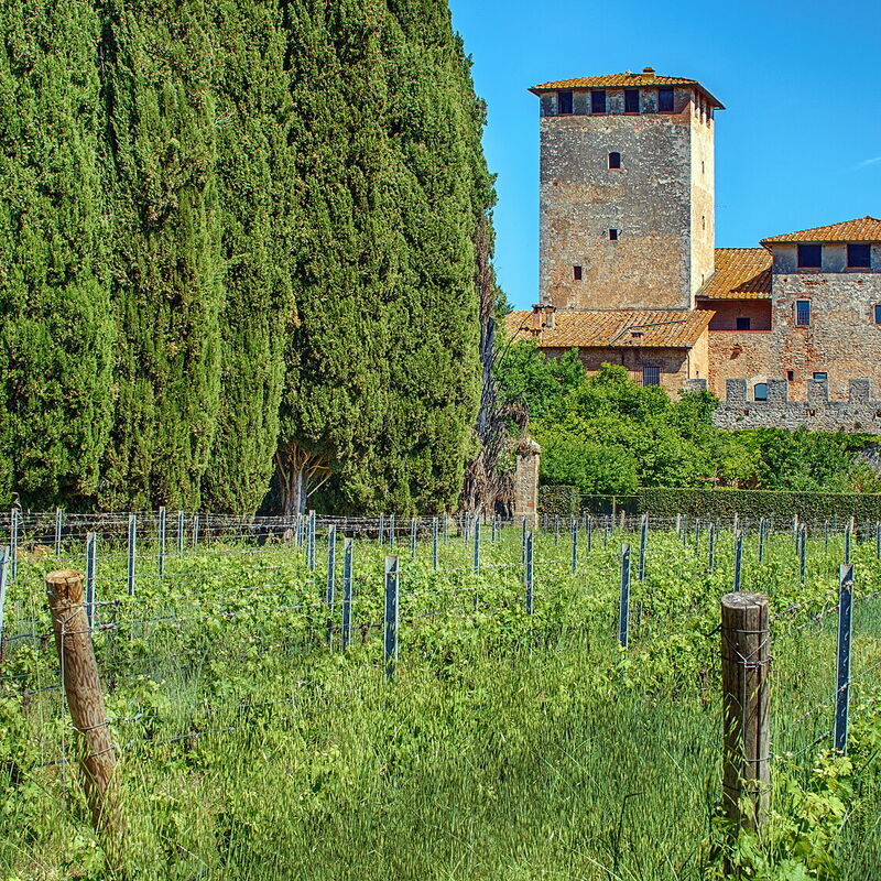 Medieval Castle Living: Vineyards, Swimming Pool & Rustic Tuscan Charm