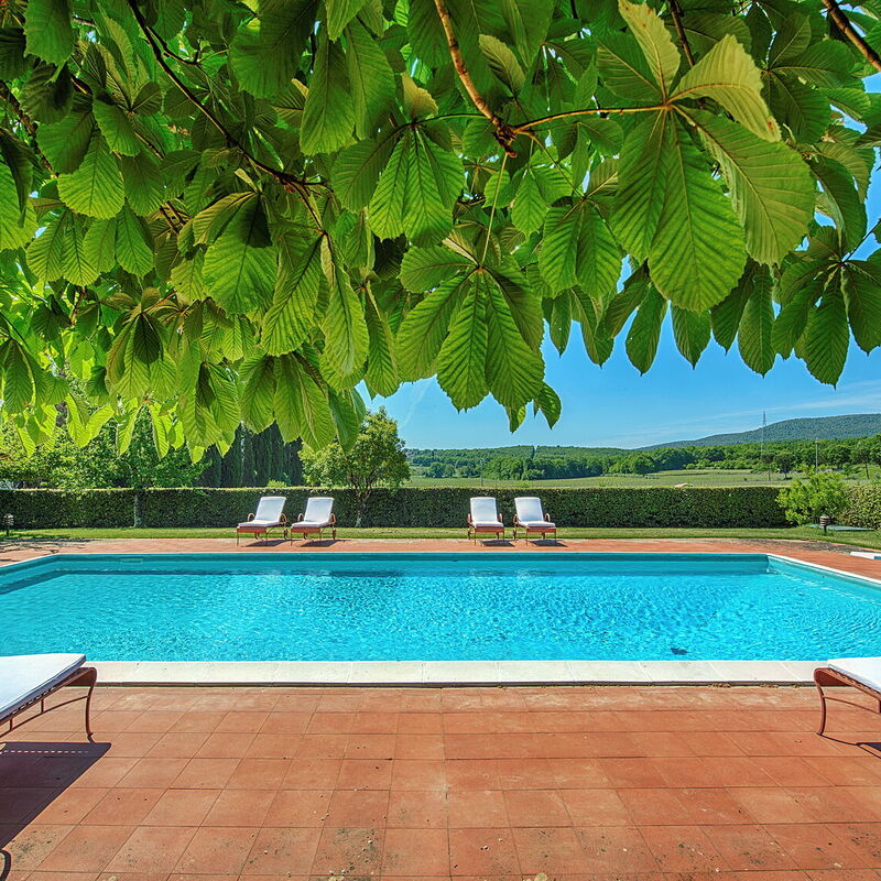 Medieval Castle Living: Vineyards, Swimming Pool & Rustic Tuscan Charm